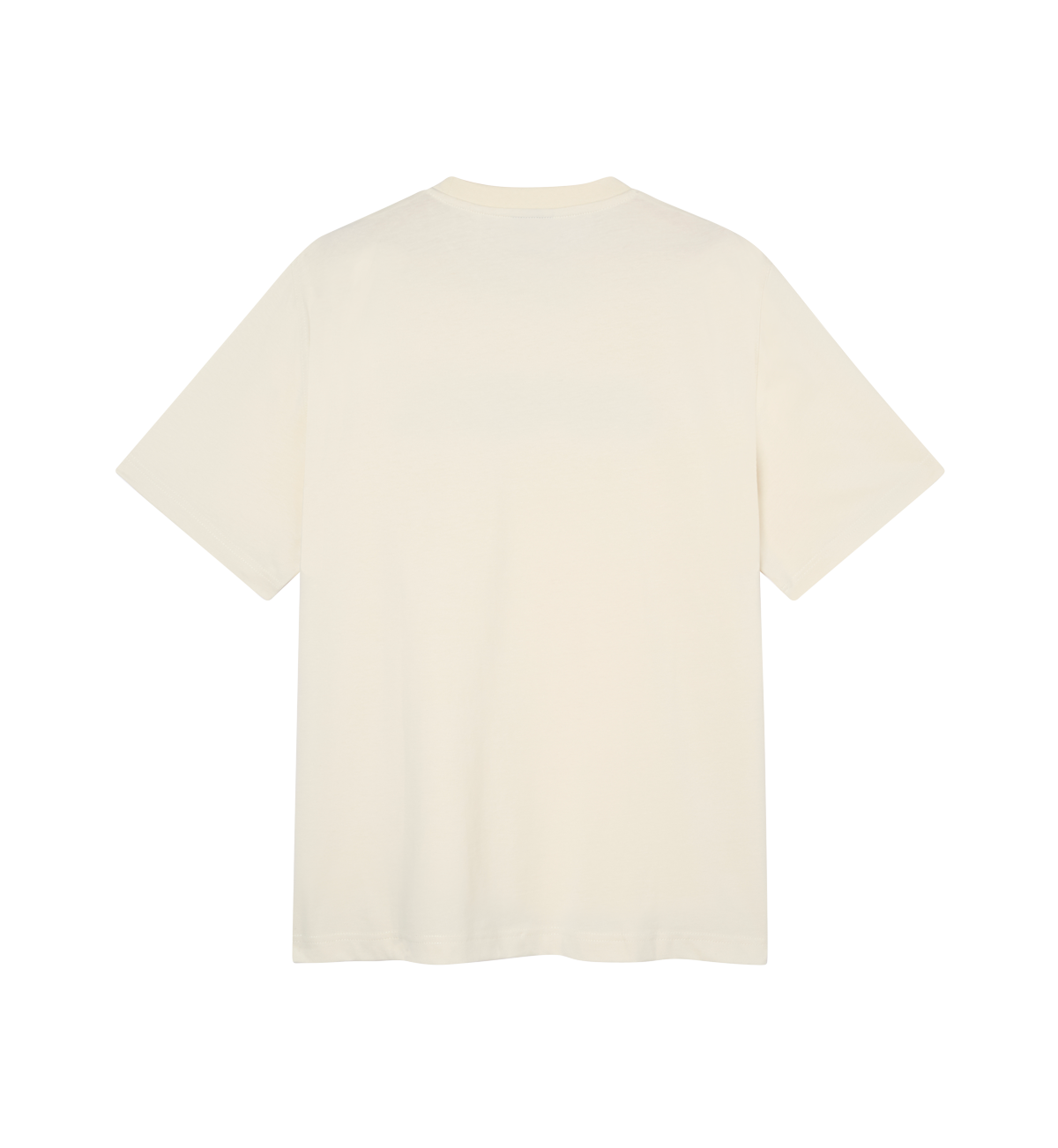 capita-gravity-tee-t-shirt-unisex-100-cotone-pre-lavato-off-white image 2