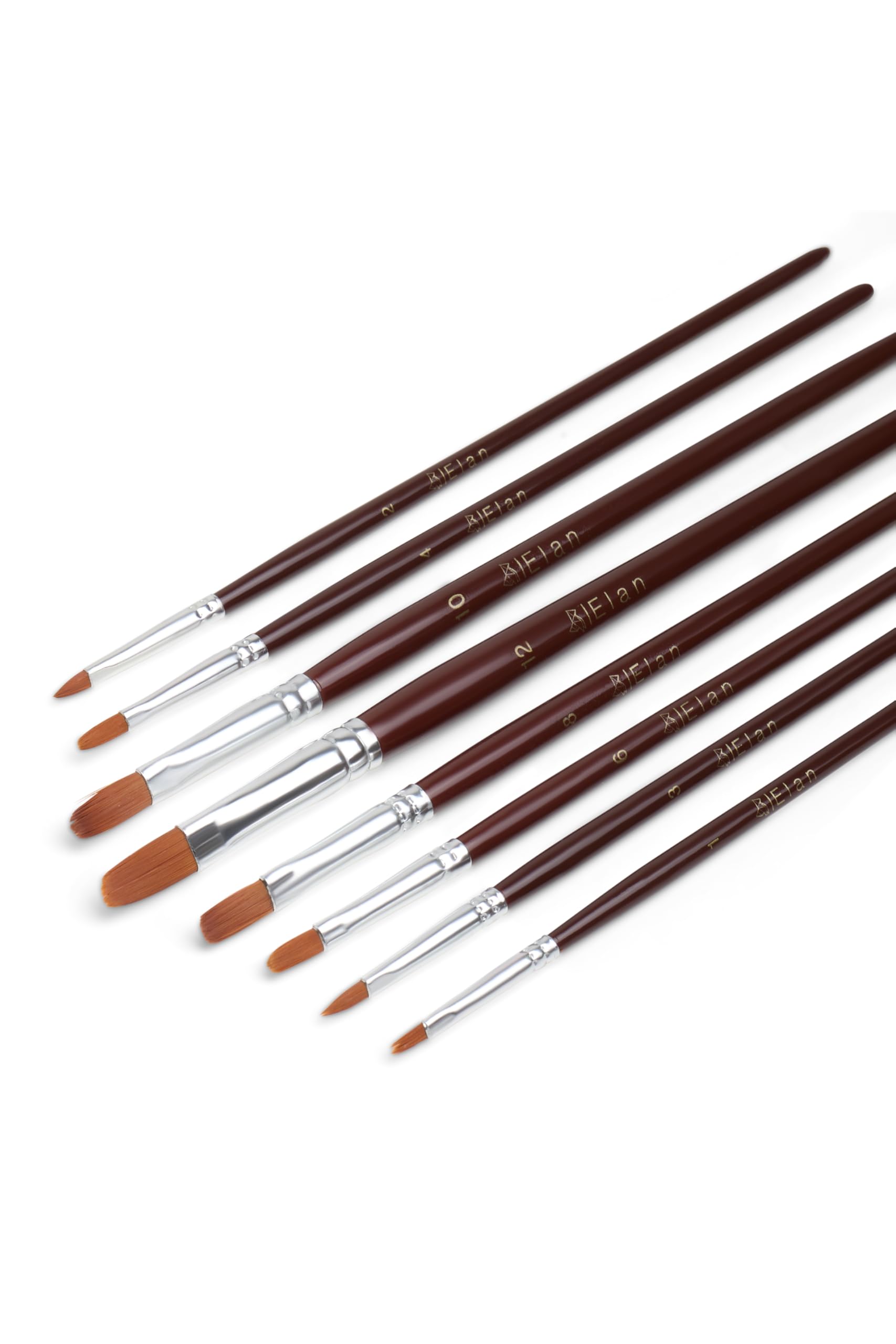 elan-set-5-pennelli-angolati-nylon-acrilico-manico-corto image 7