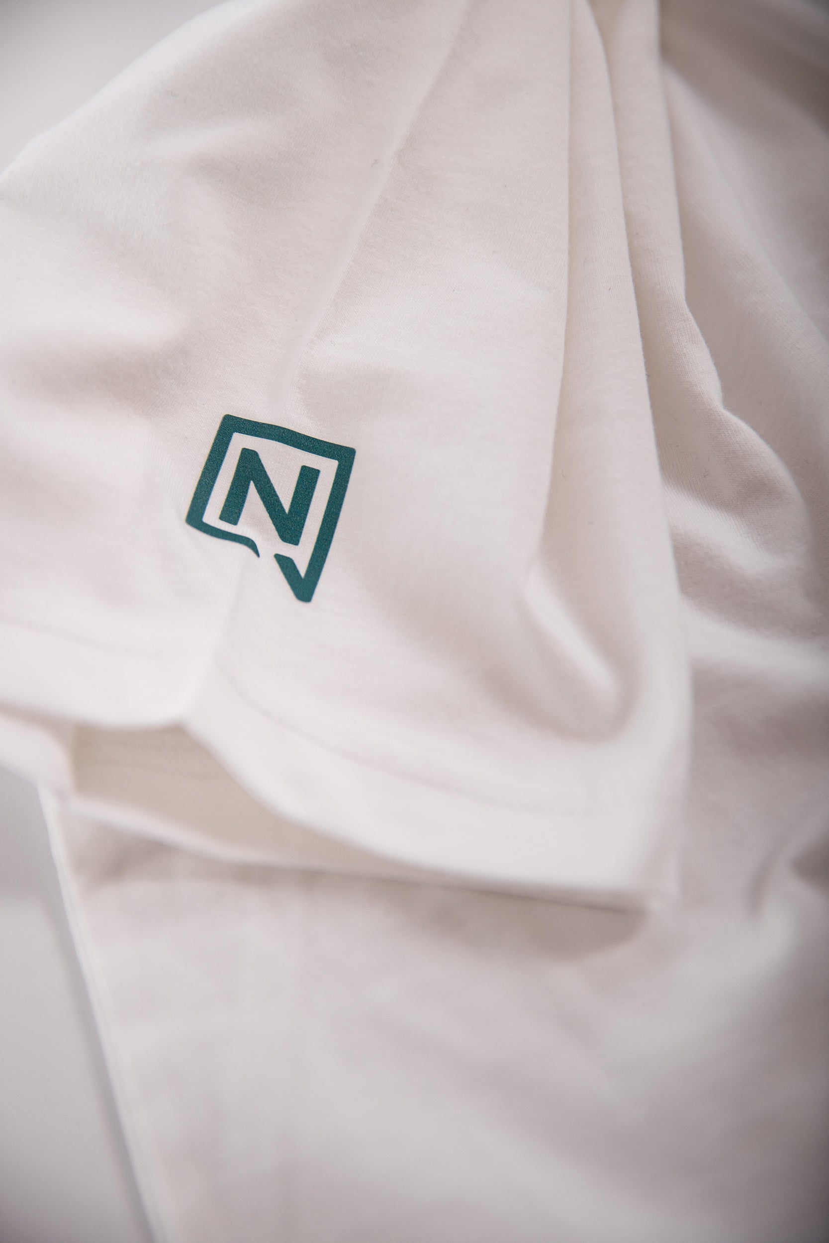 nitro-snowboards-team-t-shirt-uomo-cotone-jersey image 4