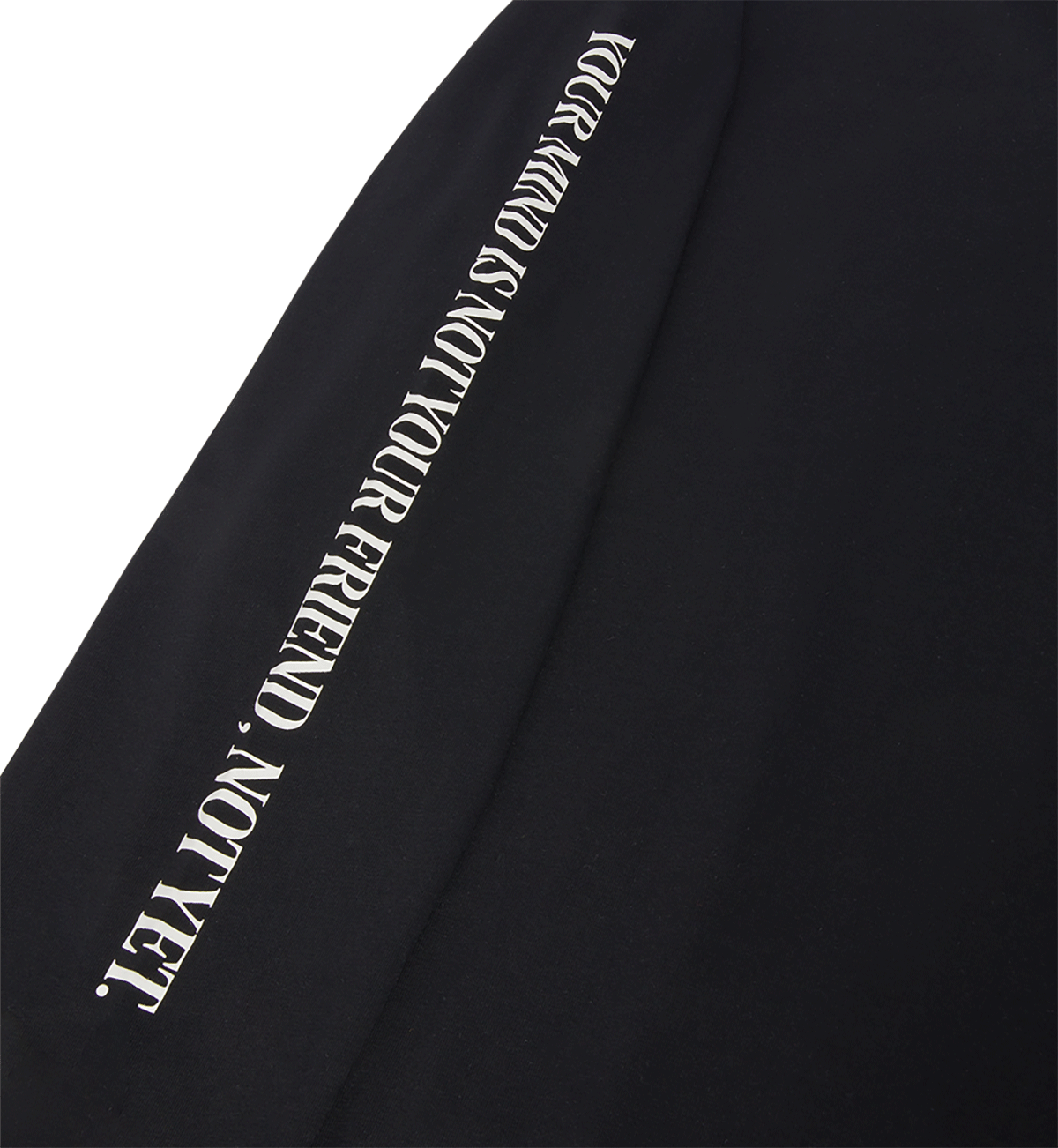 capita-friend-long-sleeve-tee-maglia-manica-lunga-slate-blue-black image 2