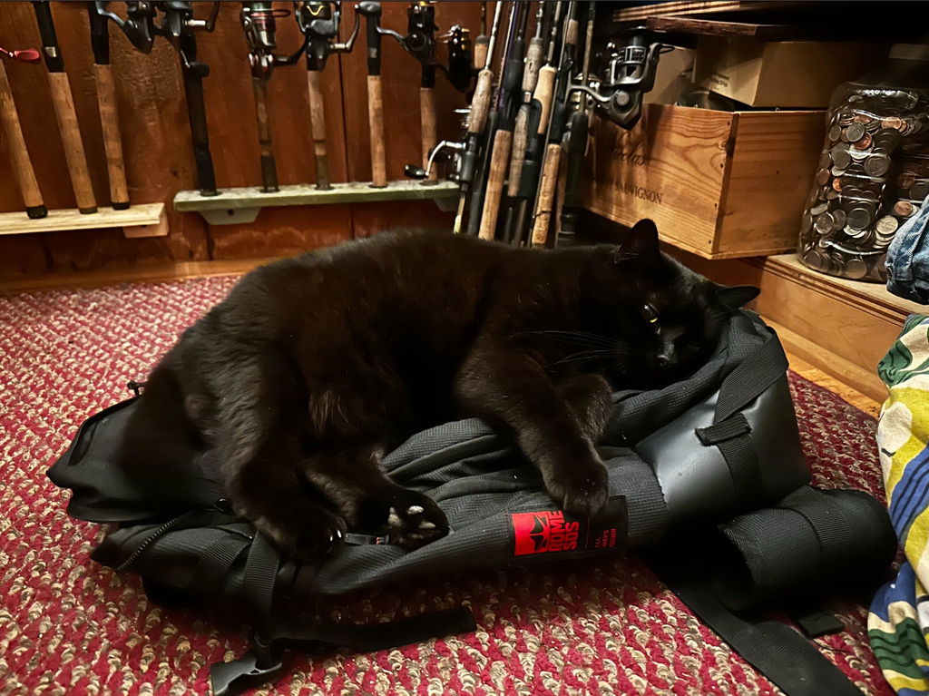 Capiente e comodo